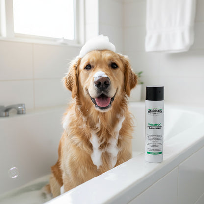 Mascosana - Shampoo Bamfino für Hunde, Katzen & Pferde - 250 ml - Fellpflege - Vegan Mascosana